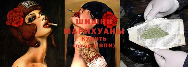 стаф Каменногорск