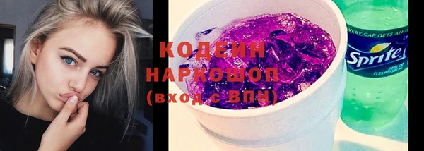 стаф Каменногорск