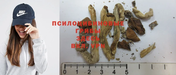 бутират Инсар
