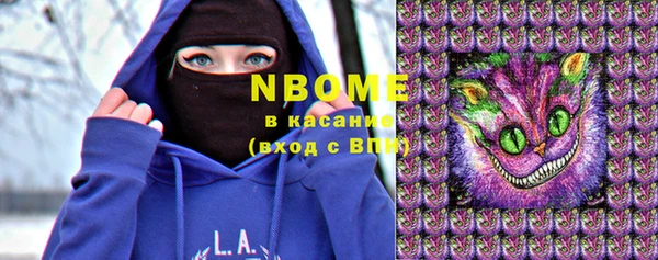 стаф Каменногорск