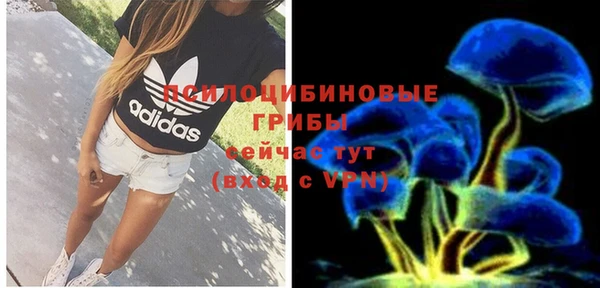 кокс Инта