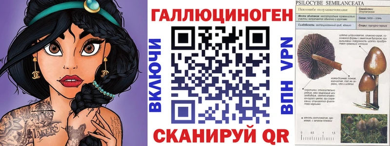 Псилоцибиновые грибы GOLDEN TEACHER  наркошоп  Княгинино 
